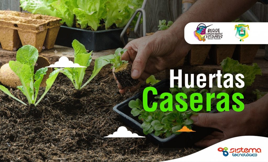 Huertas caseras