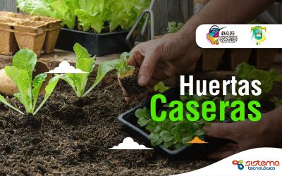 PODCAST: Huertas caseras