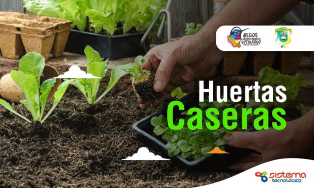 PODCAST: Huertas Caseras #2